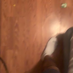 Meet your Posher, Felix